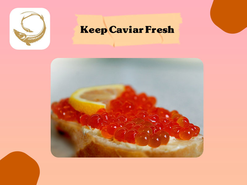 The Ultimate Guide to Keeping Caviar Fresh: Tips and Techniques