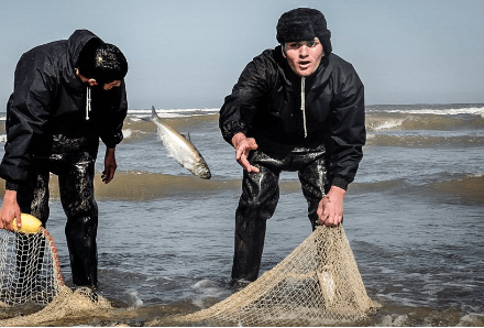 The risk of extinction of Caspian sea fish