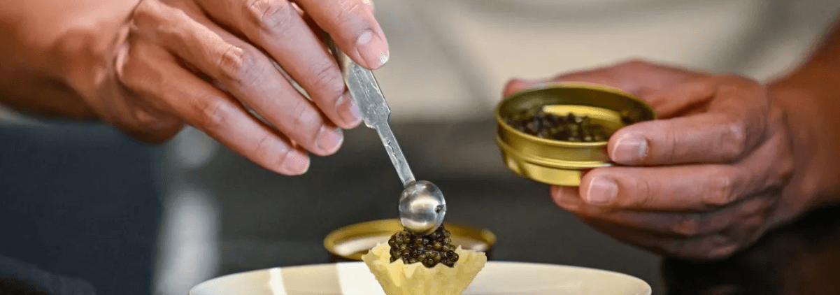 The reasons for the high price of caviar