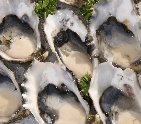 Coffin Bay Oysters