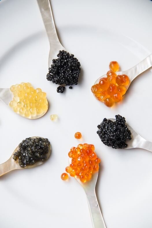 Cured Lake Trout Roe