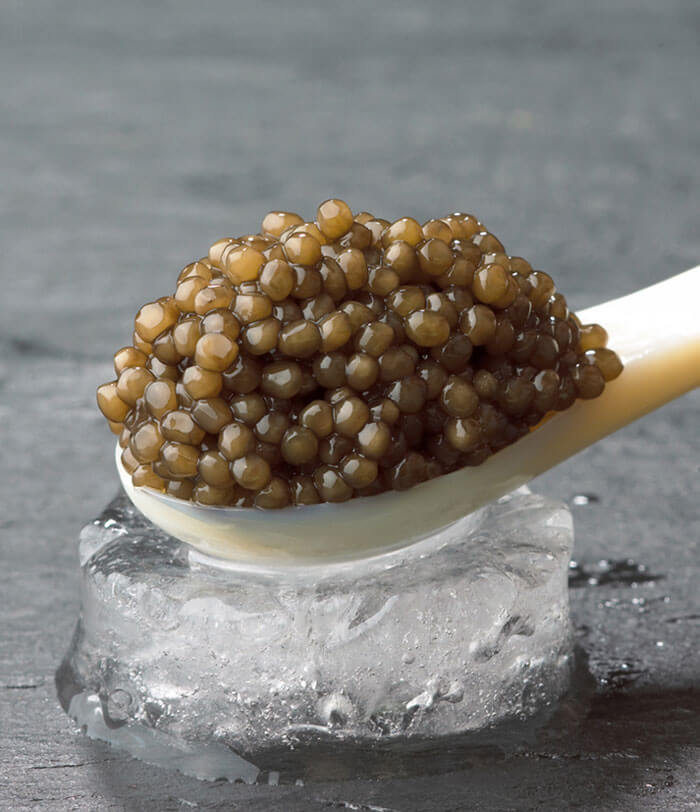 Ossetra caviar