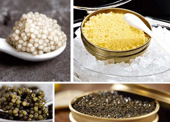 How and why expensive is caviar