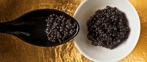caviar properties