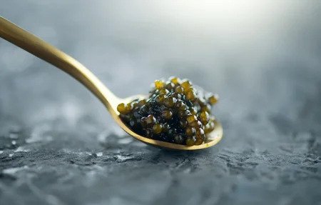 Beluga caviar