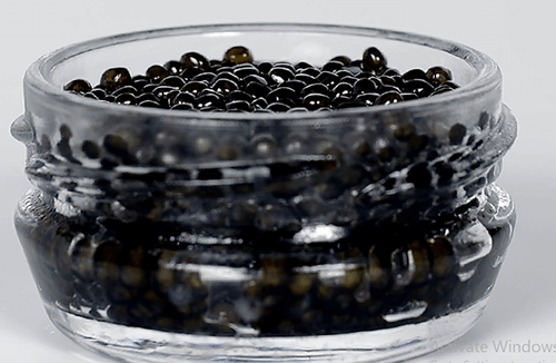 Sevruga caviar